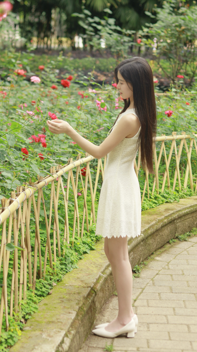 小旋风蜘蛛池8.5.1教程视频大全