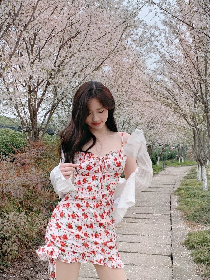 如何构建蜘蛛池图片大全集高清壁纸