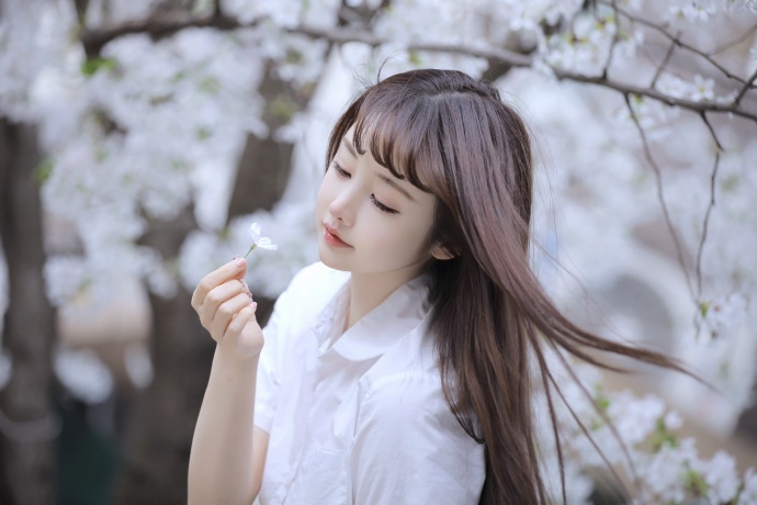 哪个p2p蜘蛛池好