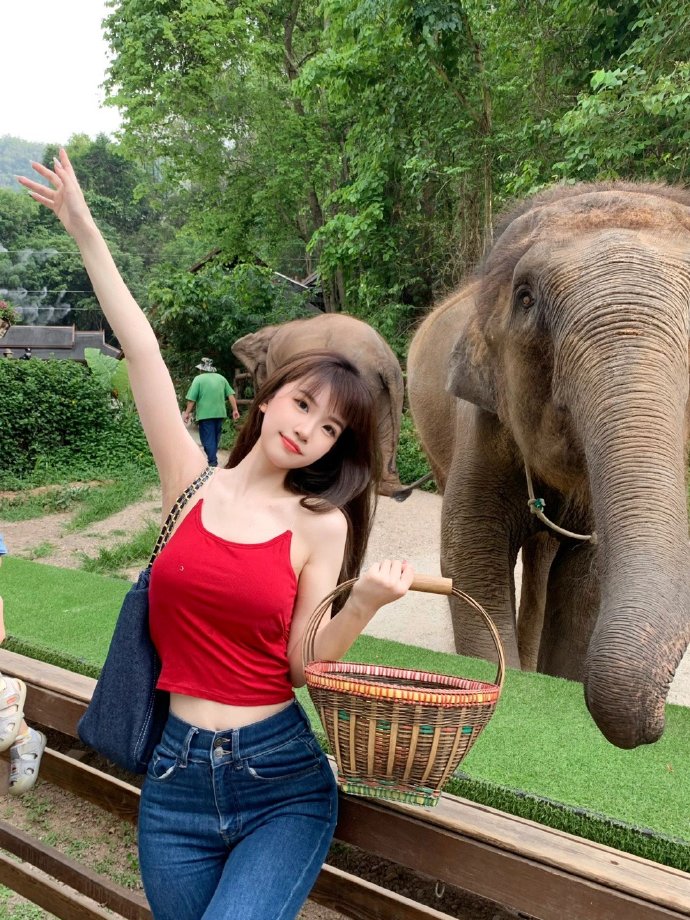 丹东SEO:助力企业在线营销的利器