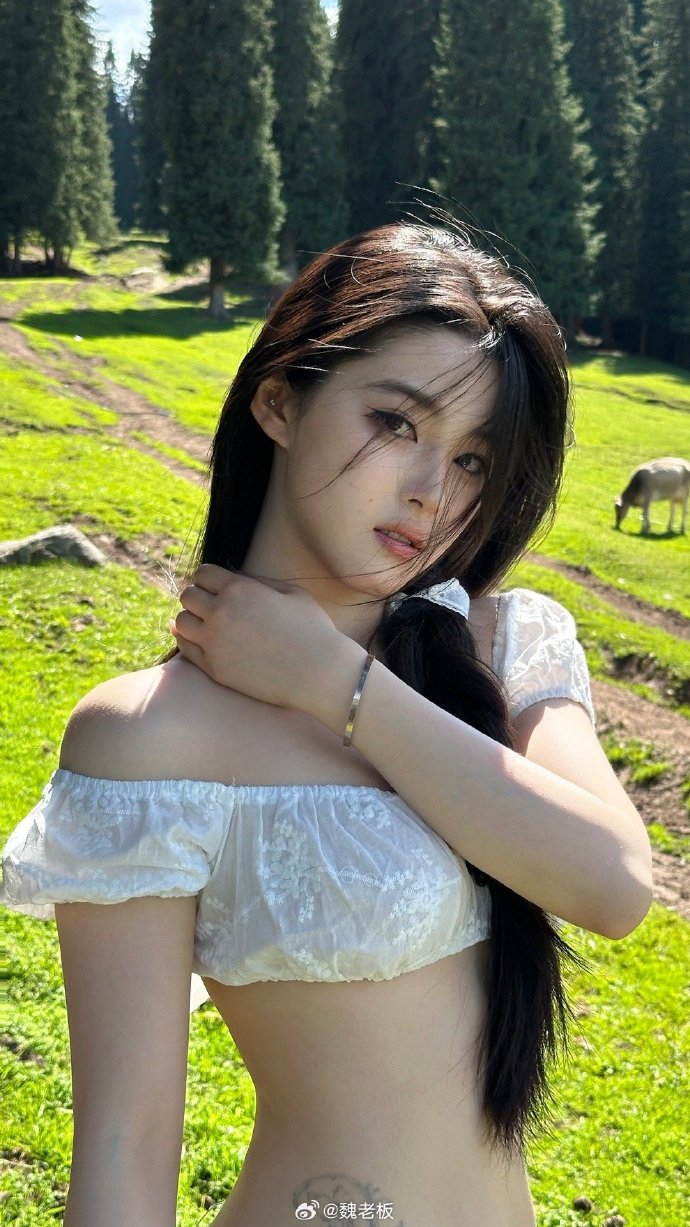 SEO快速排名,就找25火星软件——您的网站优化利器