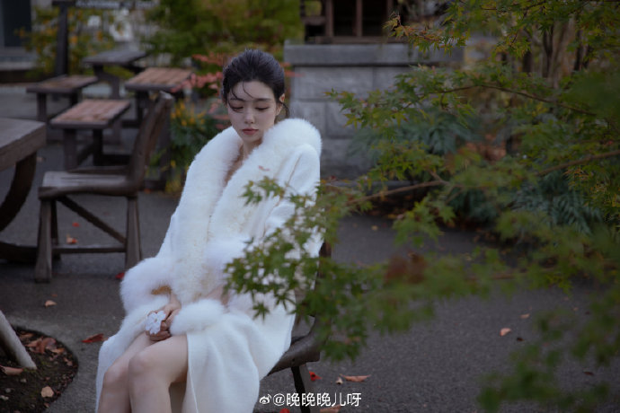 SEO费用规划：如何合理预算，实现网站优化最大化效益