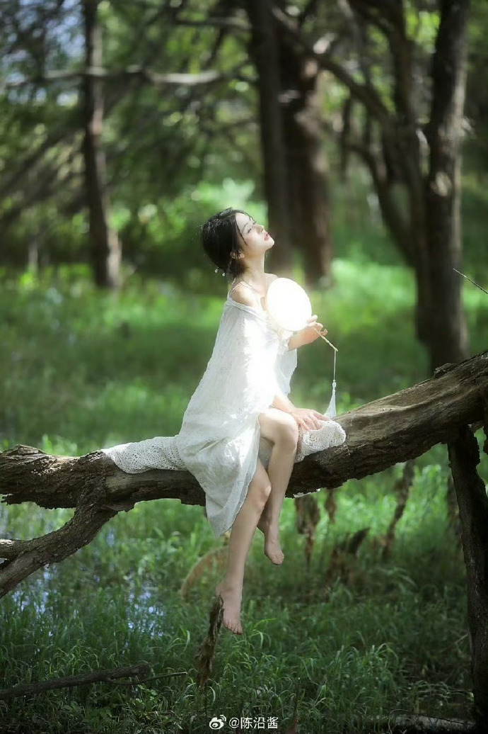 百度SEO更新时间揭秘：了解搜索引擎优化策略的黄金时刻