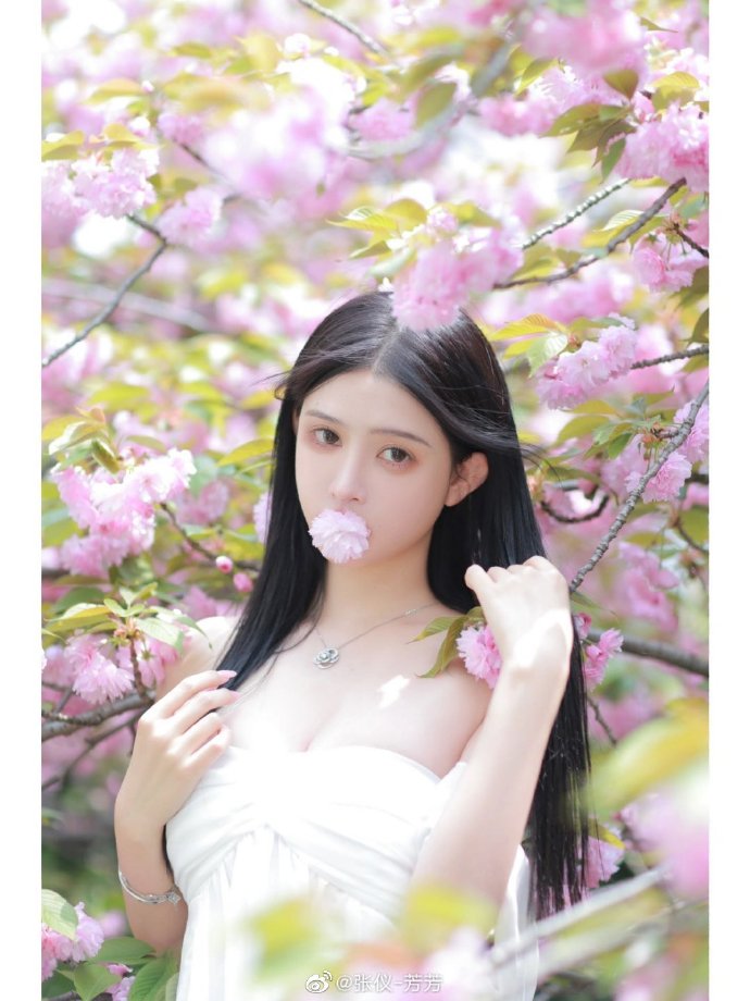 蜘蛛池搭建成本多少合适呢视频教程