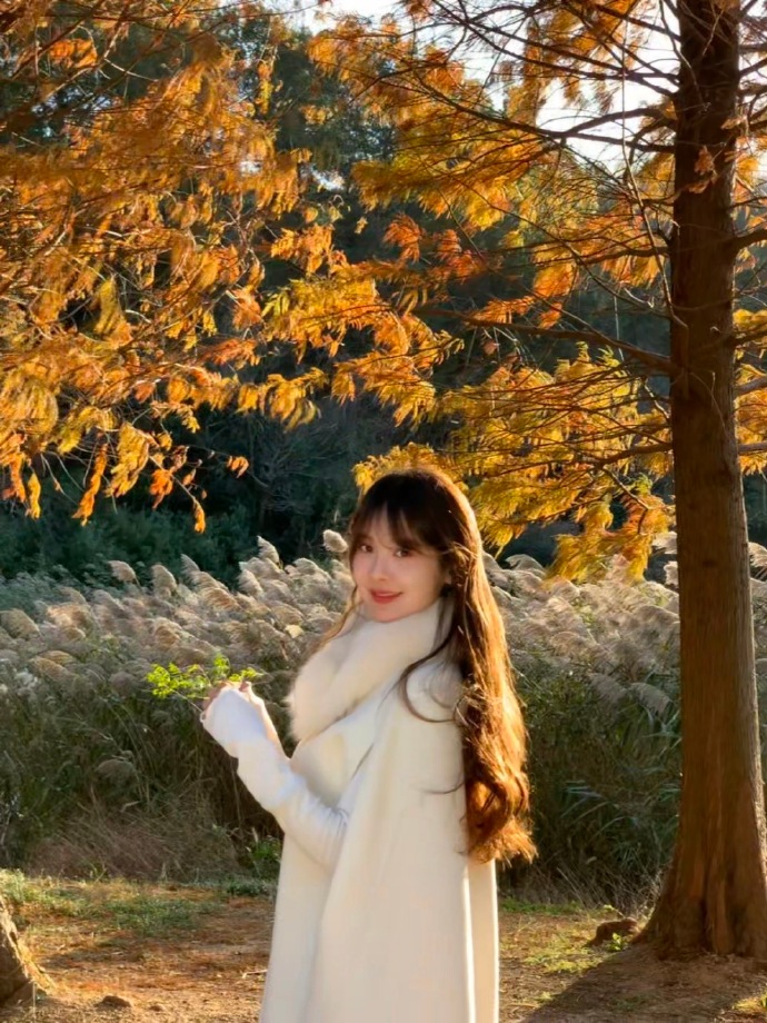 SEO网站优化报价：揭秘网站优化成本与价值