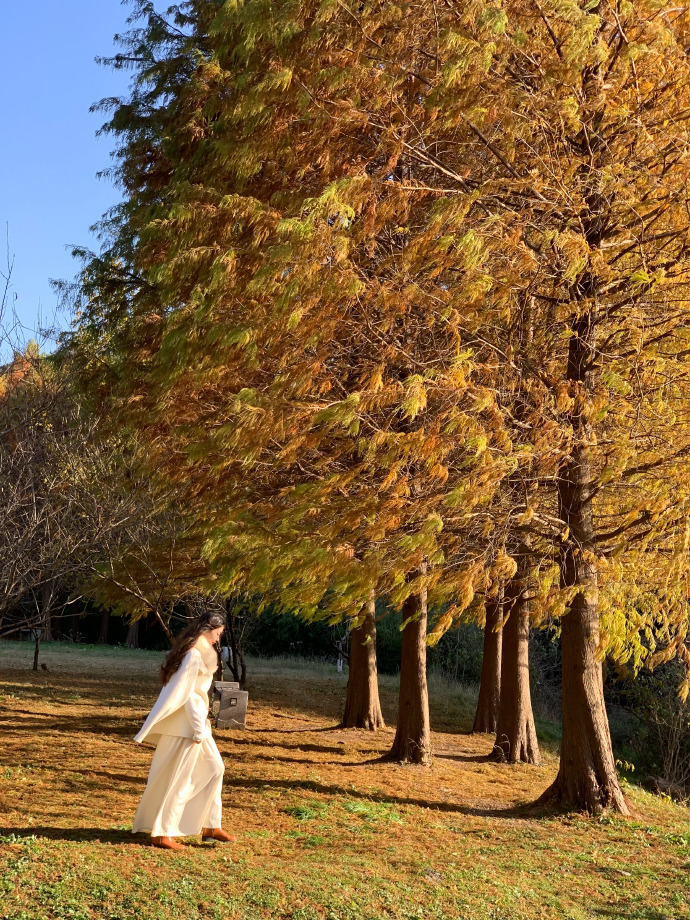 K网站建设：打造个性化企业门户，助力企业腾飞