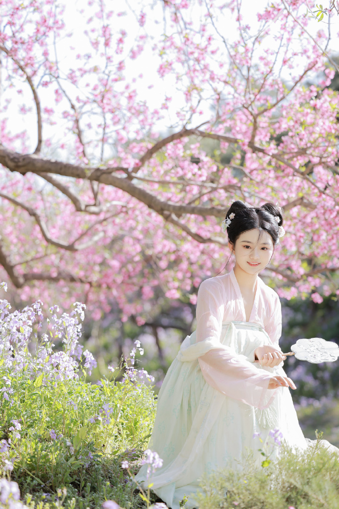 小旋风蜘蛛池教程图解视频大全集下载