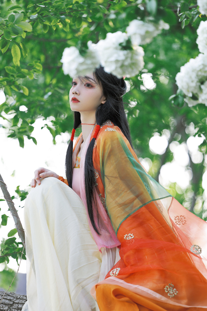 百度蜘蛛池程序下载不了怎么办呢