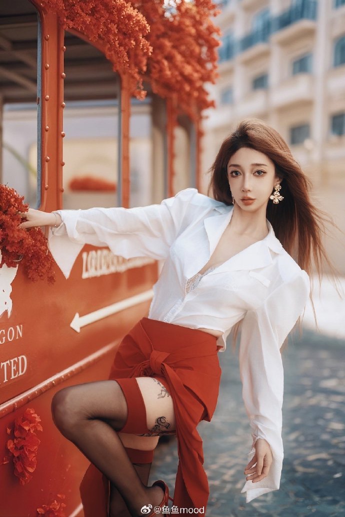 万能蜘蛛池解说