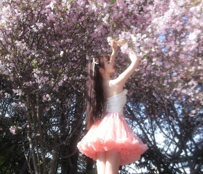 蜘蛛池搭建方法图片高清图下载大全