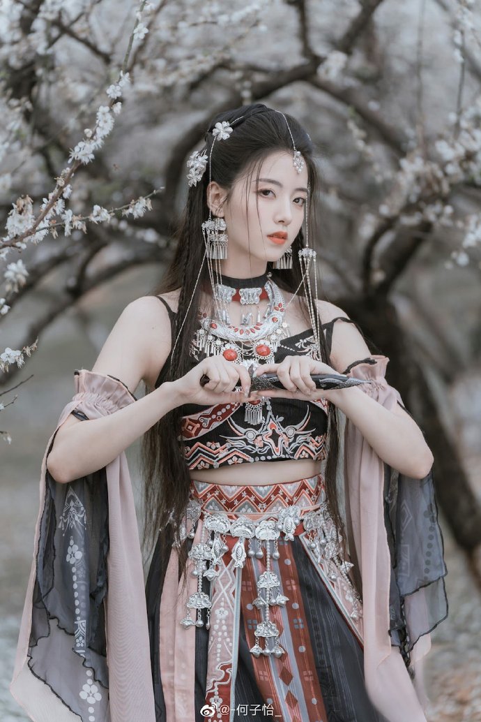 如何构建蜘蛛池视频讲解教学设计案例