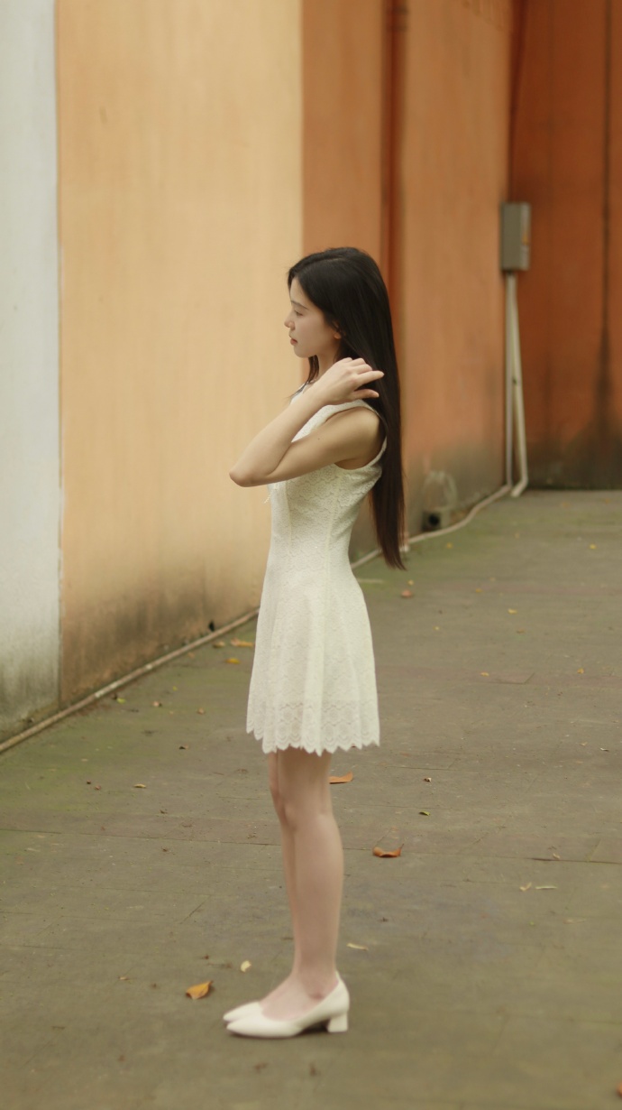 蜘蛛池出租程序图片大全大图高清