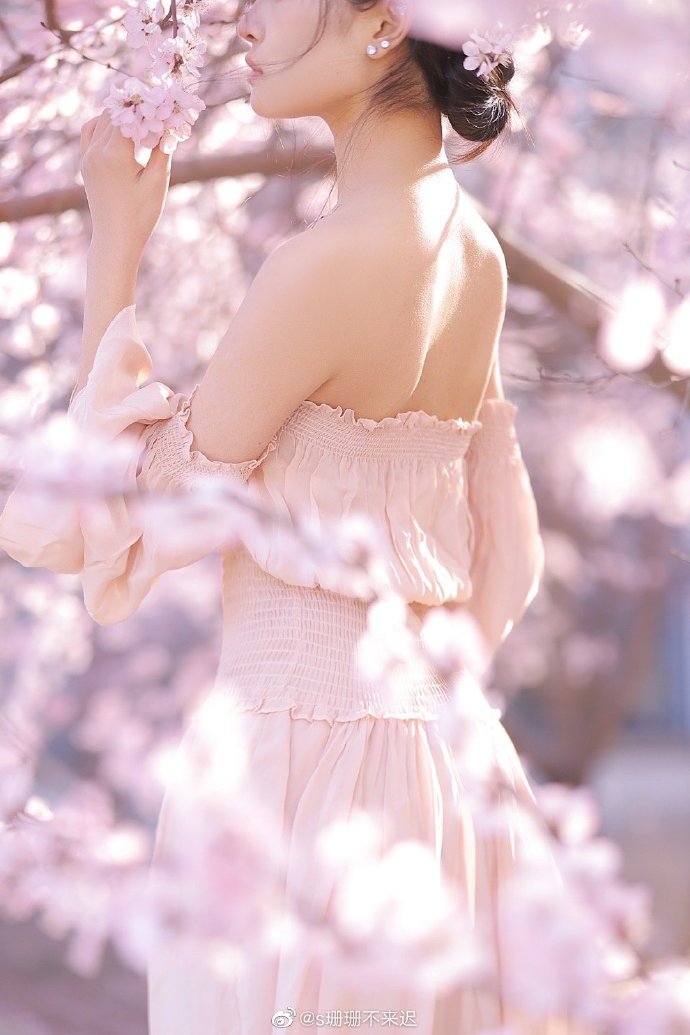 蜘蛛池怎么用视频教程做手工制作的