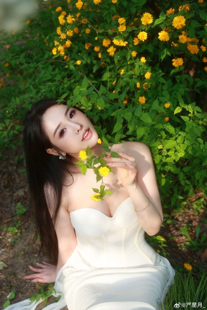 蜘蛛池搭建方法视频大全图片欣赏图