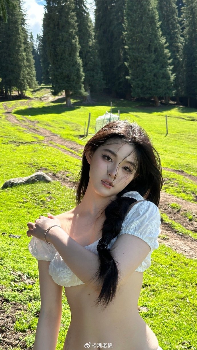 蜘蛛池如何搭建视频教程全集下载