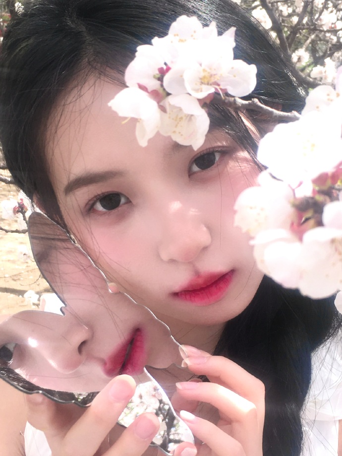 百度蜘蛛池购买网站是什么意思