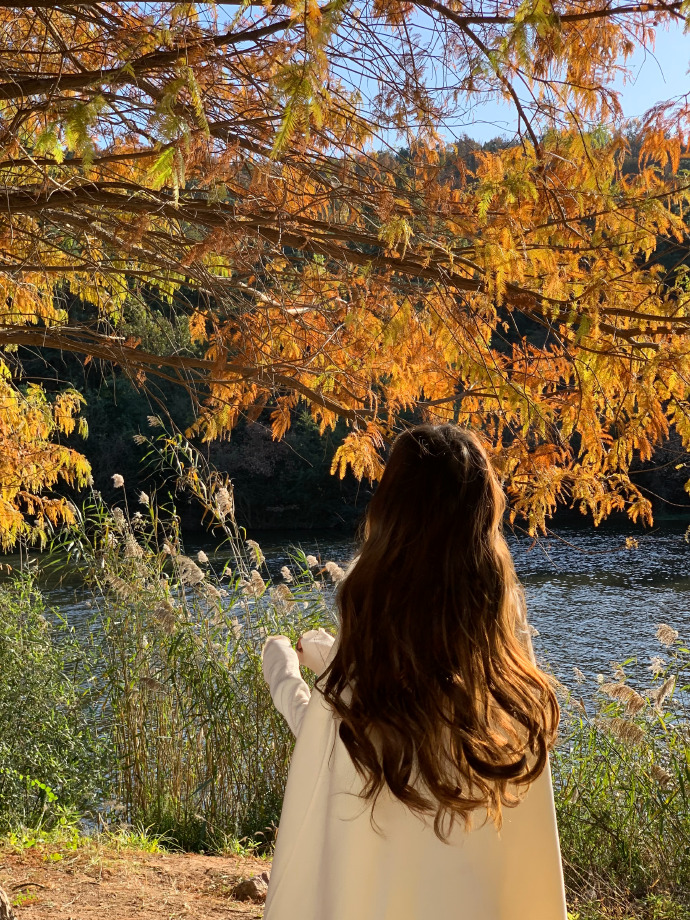 小旋风蜘蛛池x8