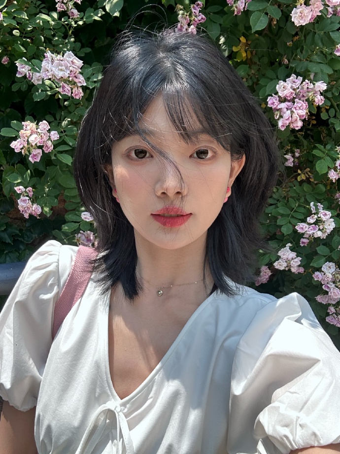 蜘蛛池搭建教程图片高清视频下载大全最新