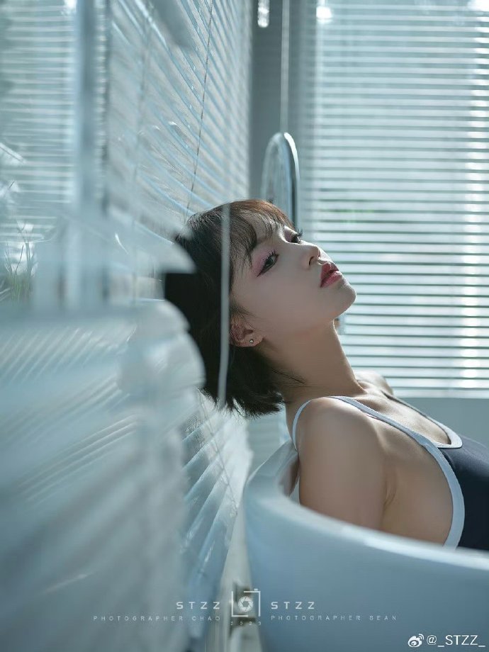 高质量蜘蛛池设计图片素材大全