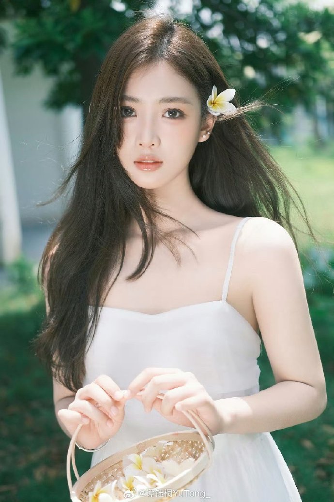 如何构建蜘蛛池视频讲解教程图片