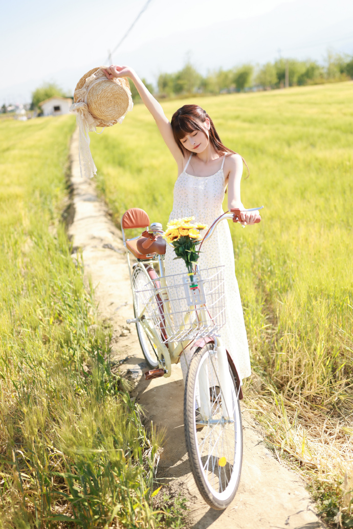 蜘蛛池新手入门教程视频大全集