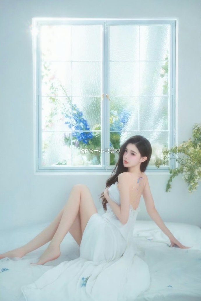 蜘蛛池怎么搭建视频讲解教程图片下载