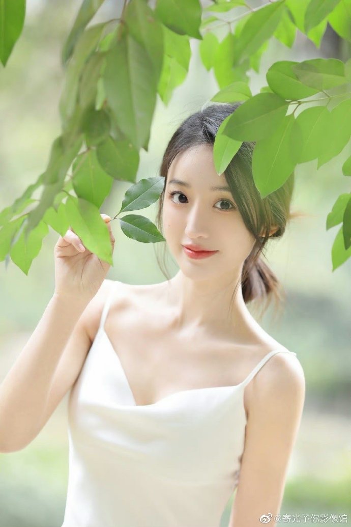 蜘蛛池是什么原理形成的图片视频