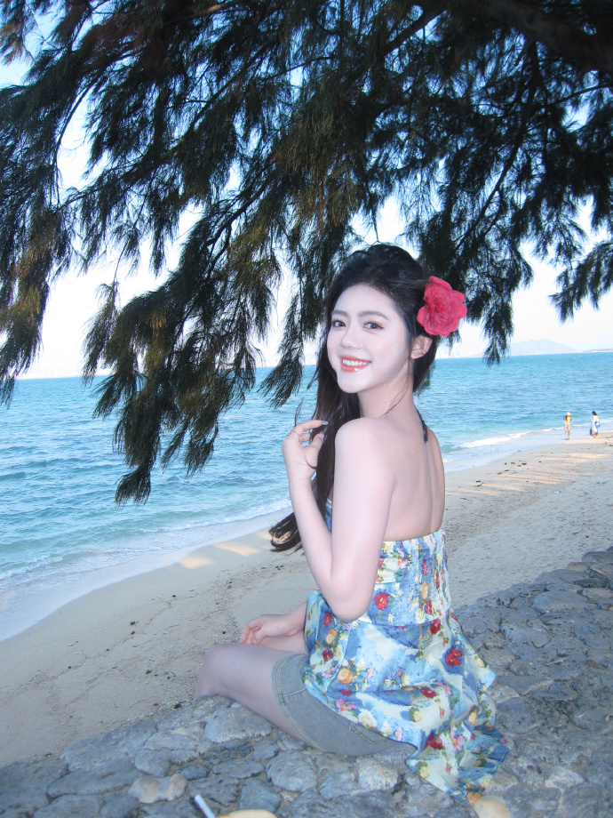 SEO优化:外链与内链的协同作用