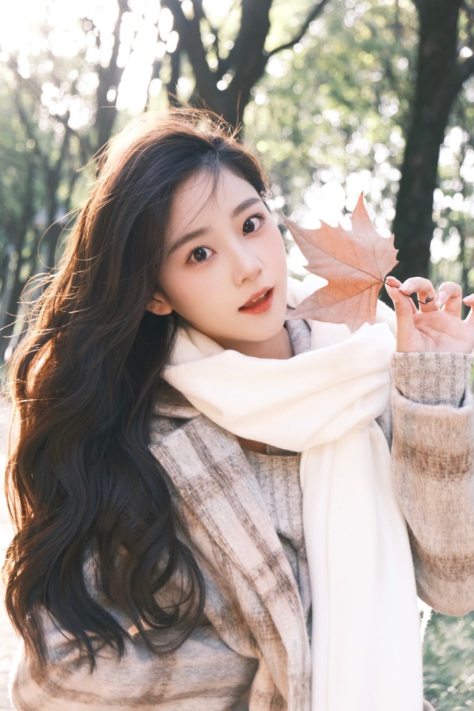 如何搭建一个蜘蛛池视频教程全集