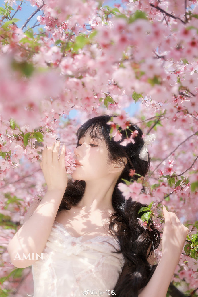 撸撸社免费看黄