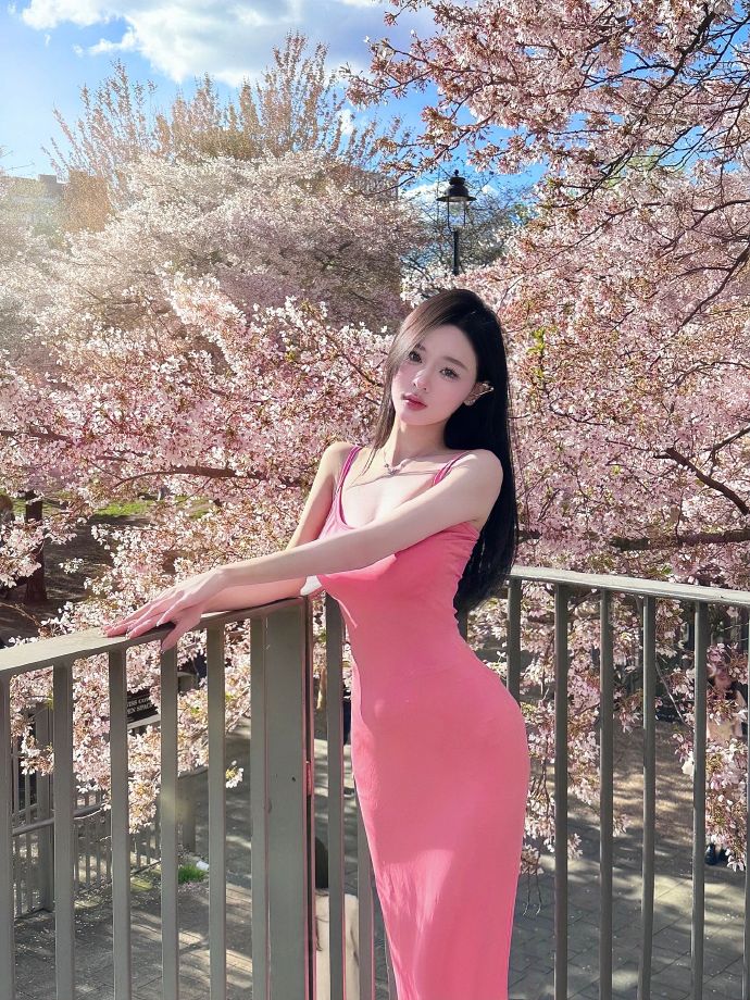 搜狗蜘蛛池有哪些排名