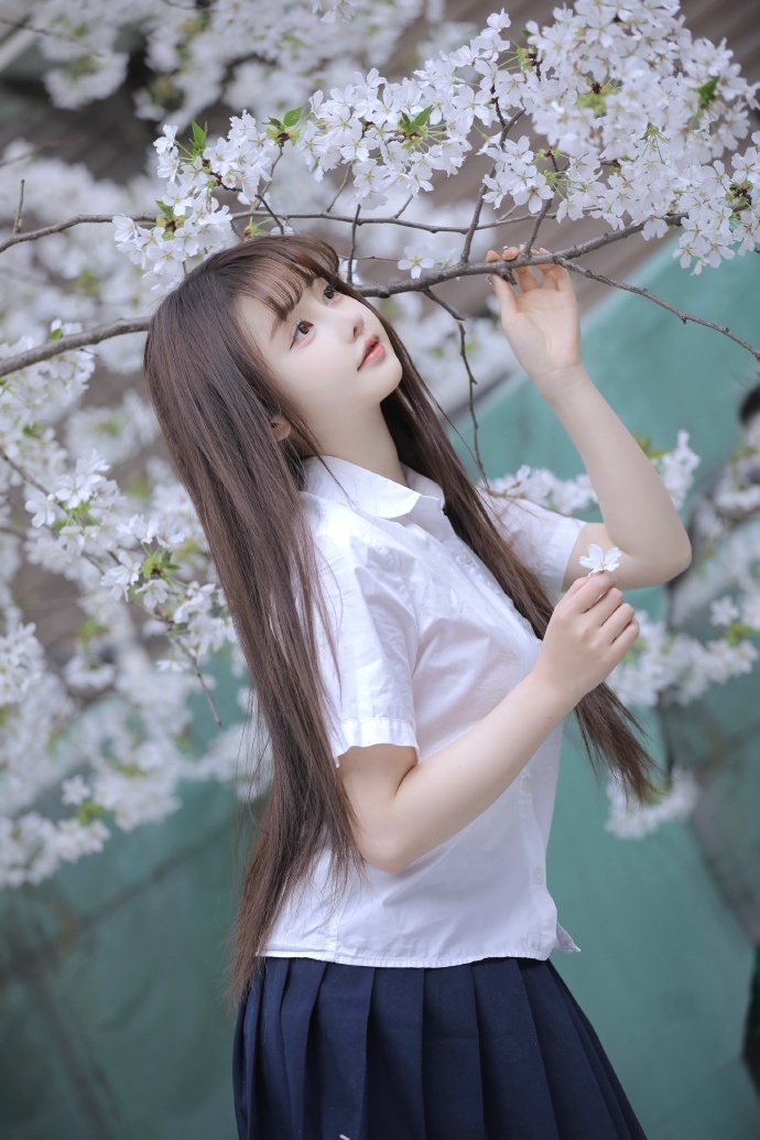 SEO排名优化特点:揭秘提升网站流量的秘诀