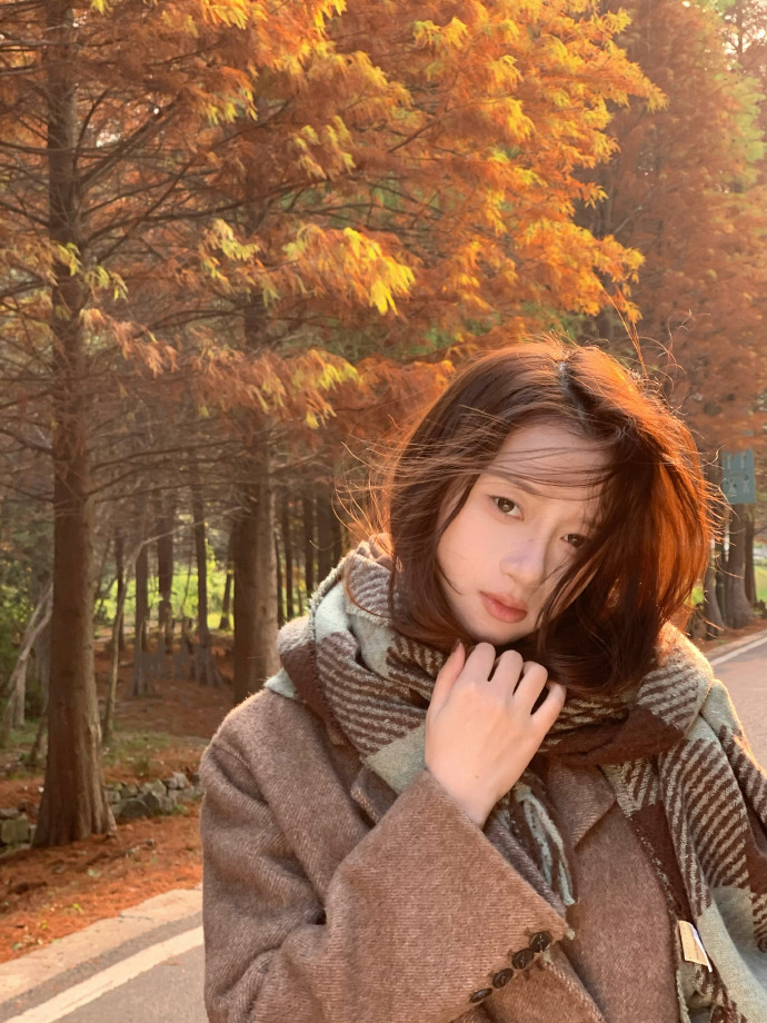 SEO常用方法：助您网站提升搜索引擎排名的实用策略