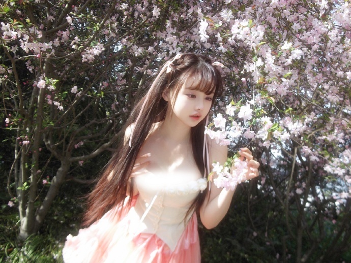 免费蜘蛛池软件下载安装苹果手机