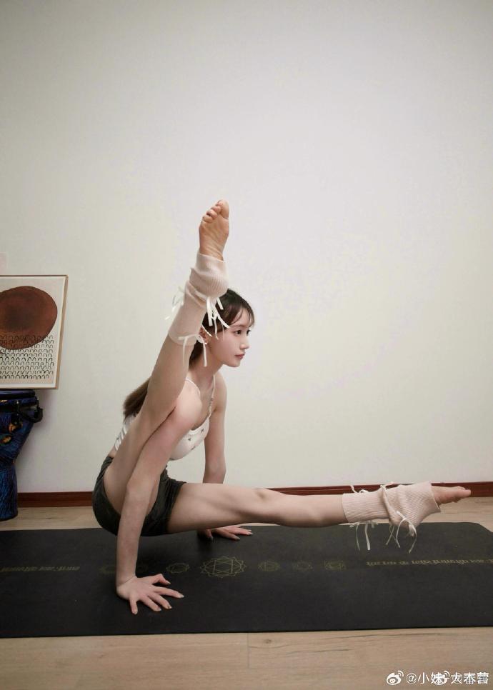 免费蜘蛛池测试网站下载安装手机版