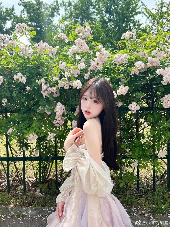 怎么建蜘蛛池视频讲解图片教程