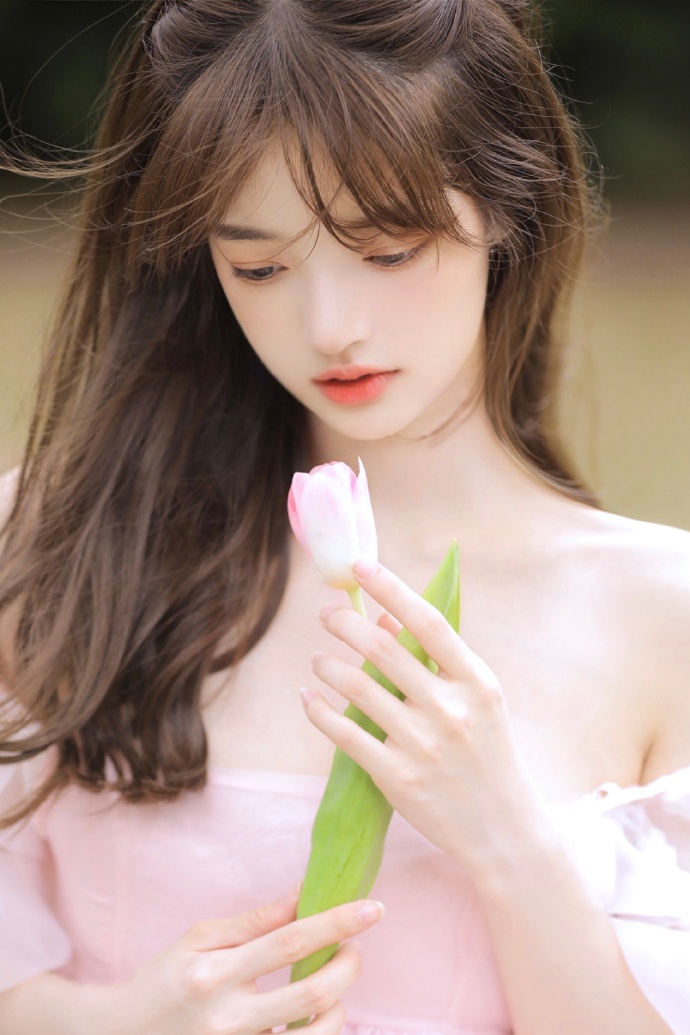 大连网站建设咨询：打造专业、高效的在线平台