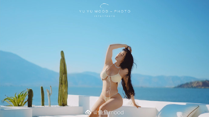 百度蜘蛛池原理图讲解视频教程全集