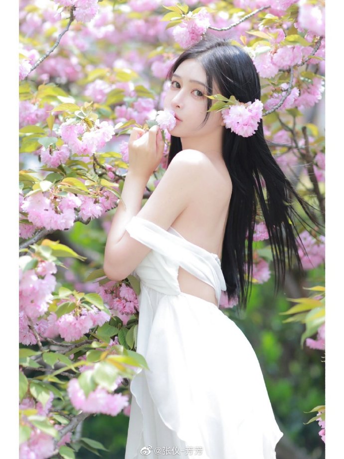 从零开始，轻松掌握SEO优化技巧——零基础SEO教程全解析