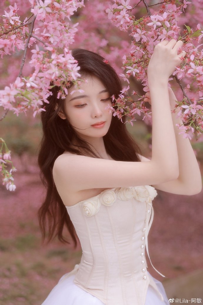 如何构建蜘蛛池图片大全集高清壁纸