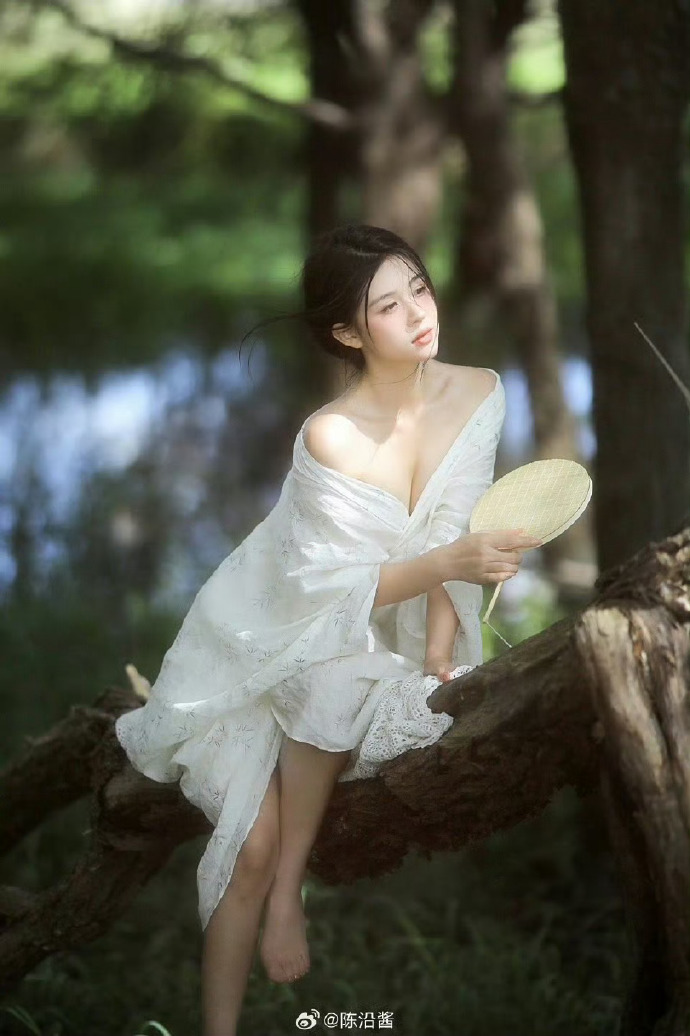 阿里云服务器租用费用