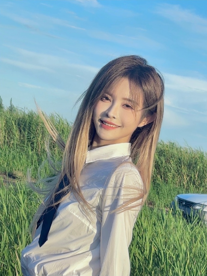 网站蜘蛛池怎么做的啊视频教程