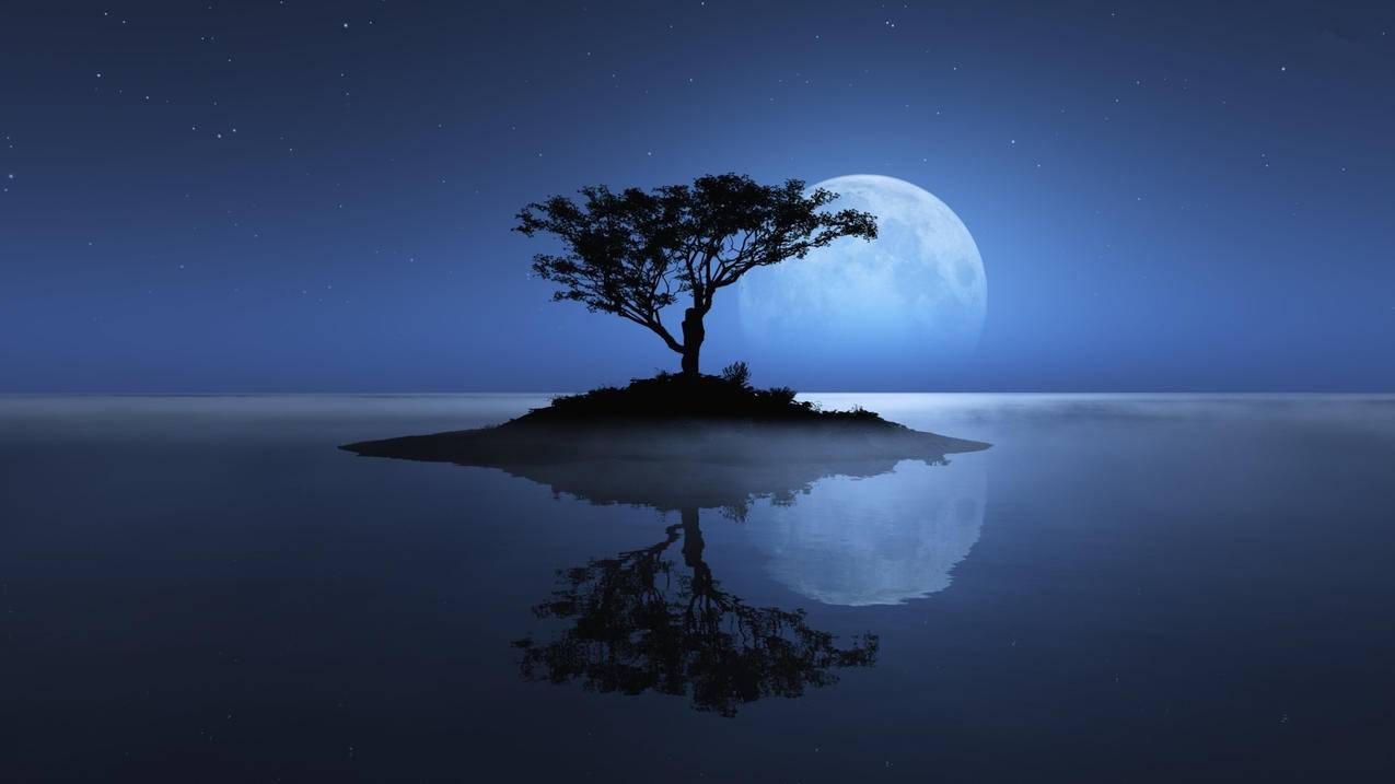 抖音赞-抖音秒业务平