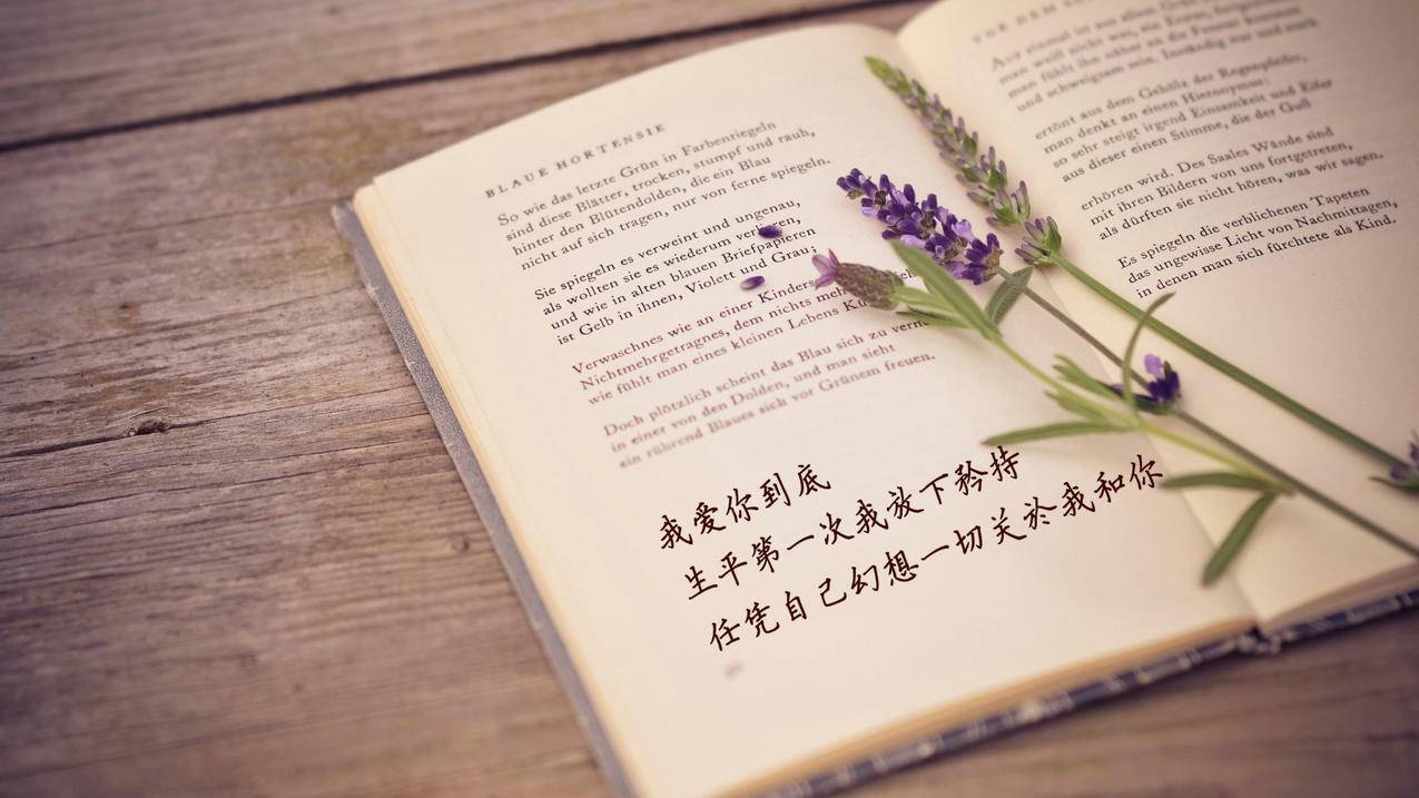 抖音涨赞 - 抖音点赞业务24小时低价在线_抖音点赞业务24小时下单