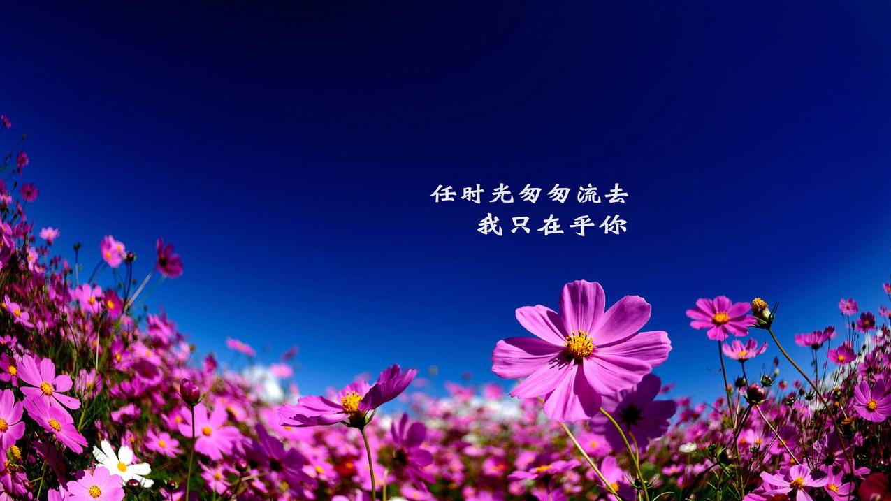抖音点赞业务24小时