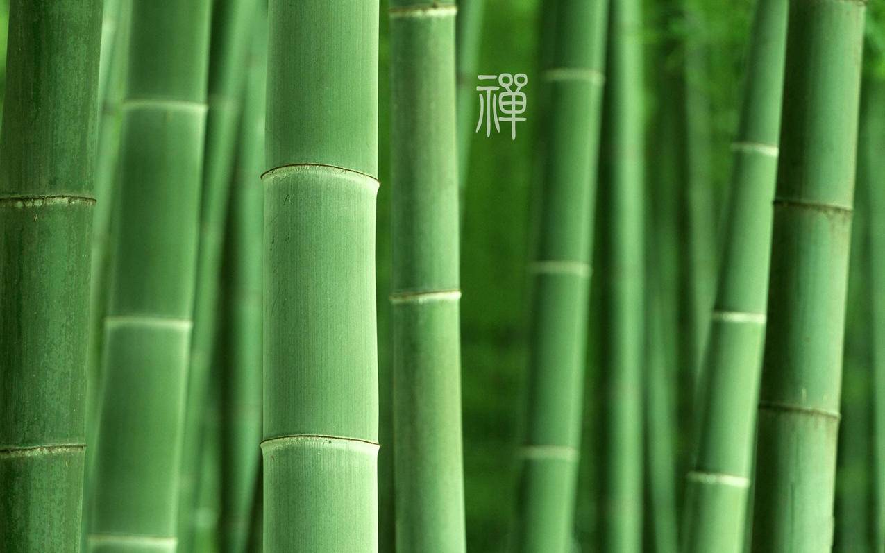 业务下单系统 - 最