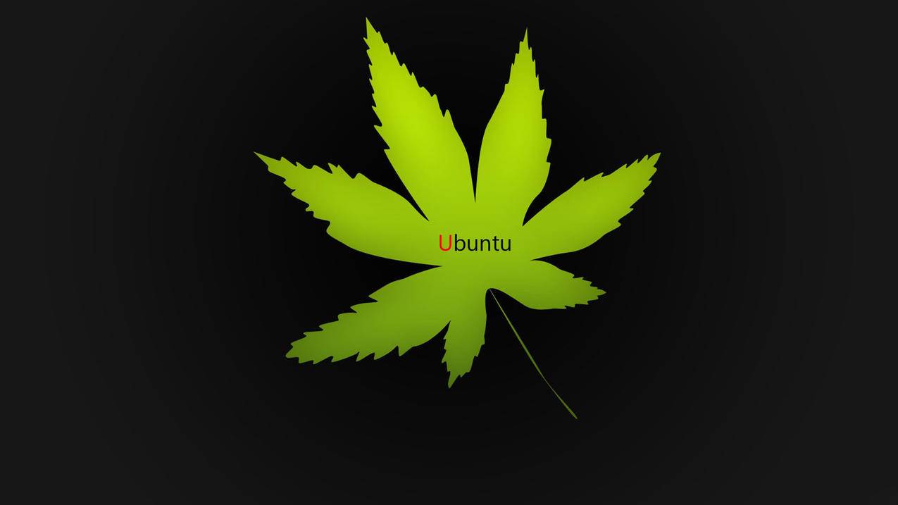 抖音赞_抖音自助平台_抖音点赞业务秒最自助下单业务24小时 - 抖音点赞业务24小时低价