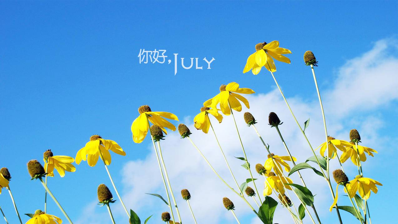 抖音点赞业务24小时