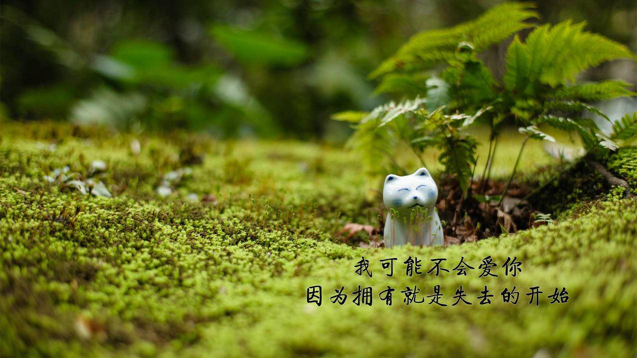 在线下单全 - 低价下单赞下单,非梦抖音赞设计