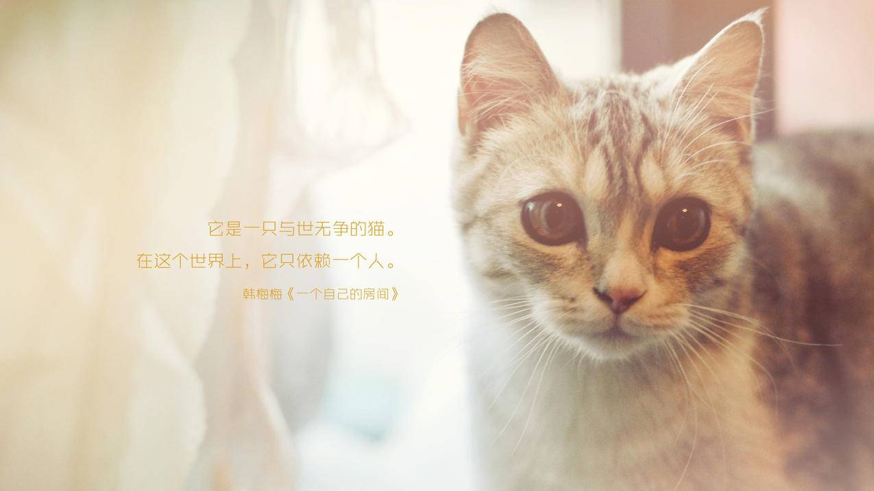 易心赞下单 - 小老弟-抖音点赞业务24小时下单20个-抖音点赞业务24小时的